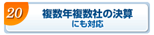 複数年複数社の決算にも対応